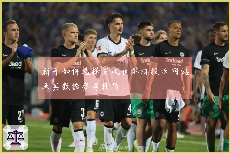 新手如何选择正规世界杯投注网站及其数据参考技巧