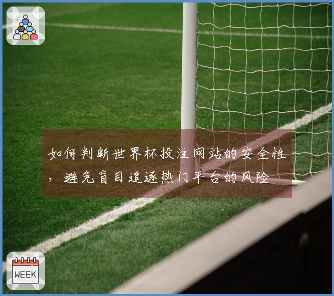 如何判断世界杯投注网站的安全性，避免盲目追逐热门平台的风险