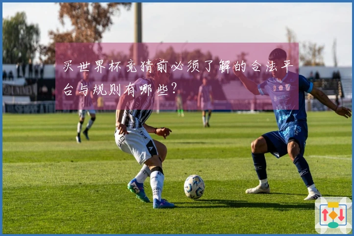 买世界杯竞猜前必须了解的合法平台与规则有哪些？