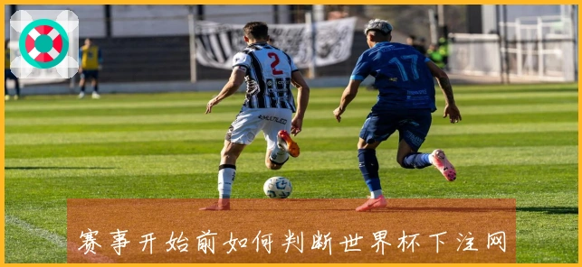 赛事开始前如何判断世界杯下注网站是否靠谱和安全