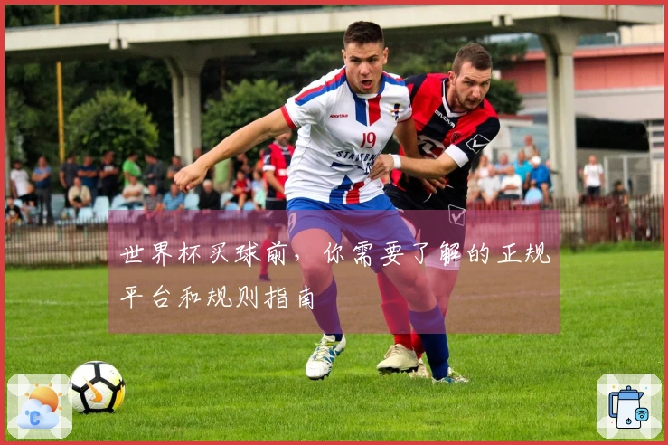 世界杯买球前，你需要了解的正规平台和规则指南