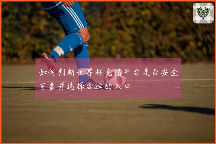 如何判断世界杯竞猜平台是否安全可靠并选择合适的入口