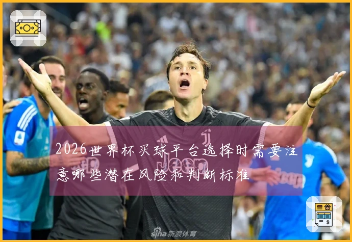 2026世界杯买球平台选择时需要注意哪些潜在风险和判断标准