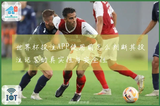 世界杯投注APP使用前怎么判断其投注记录的真实性与安全性