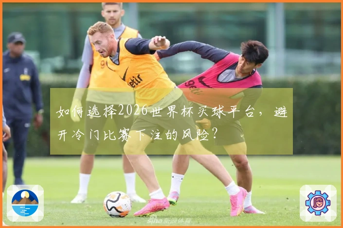 如何选择2026世界杯买球平台，避开冷门比赛下注的风险？