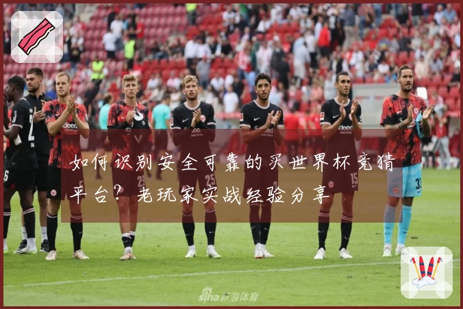 如何识别安全可靠的买世界杯竞猜平台？老玩家实战经验分享