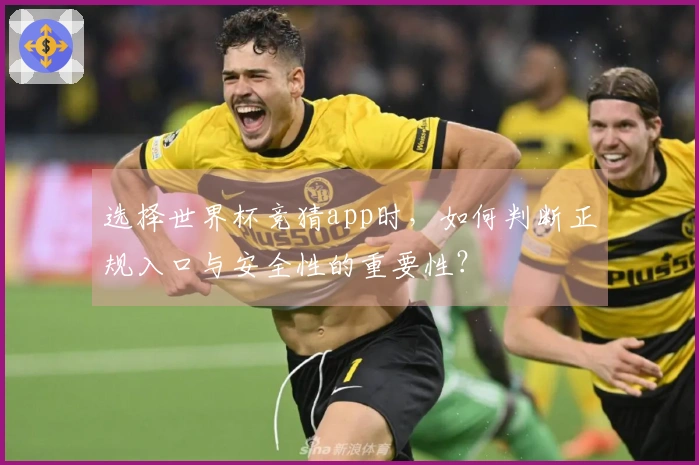 选择世界杯竞猜app时，如何判断正规入口与安全性的重要性？