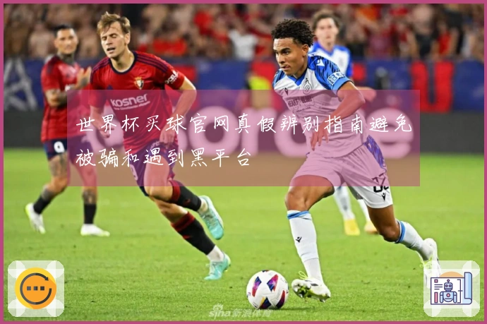 世界杯买球官网真假辨别指南避免被骗和遇到黑平台