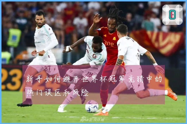 新手如何避开世界杯冠军竞猜中的热门误区和风险