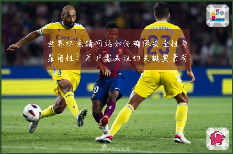 世界杯竞猜网站如何确保安全性与靠谱性？用户需关注的关键要素有哪些