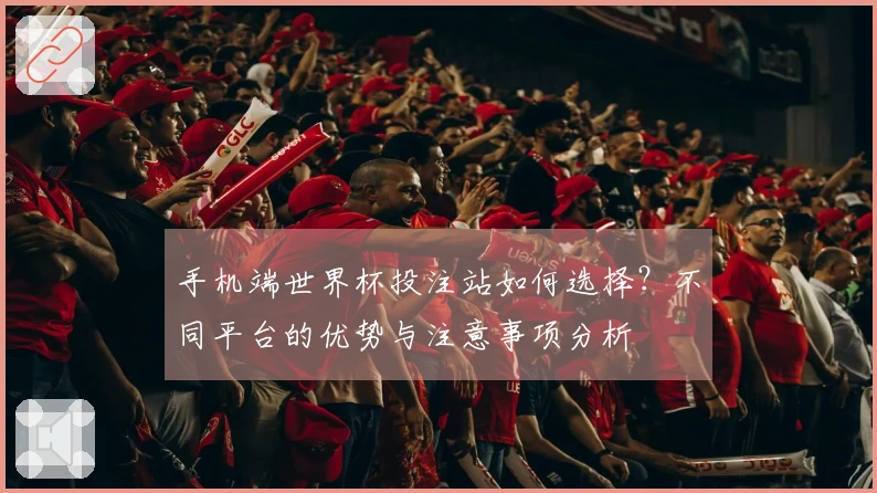 手机端世界杯投注站如何选择？不同平台的优势与注意事项分析
