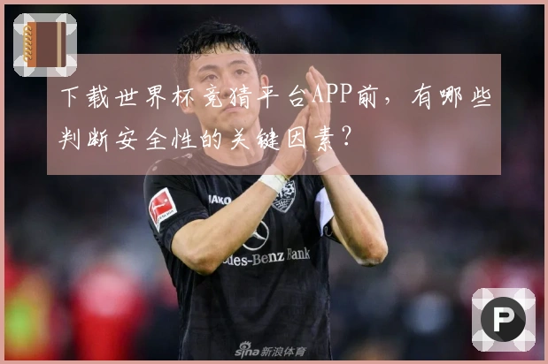 下载世界杯竞猜平台APP前，有哪些判断安全性的关键因素？