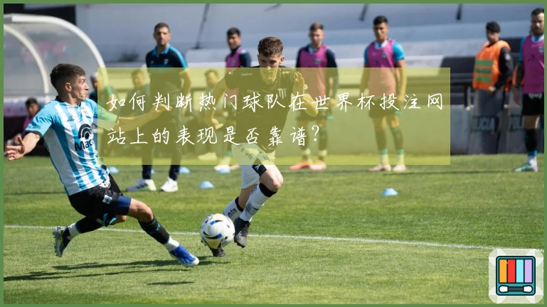 如何判断热门球队在世界杯投注网站上的表现是否靠谱？