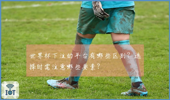 世界杯下注的平台有哪些区别？选择时需注意哪些要素？