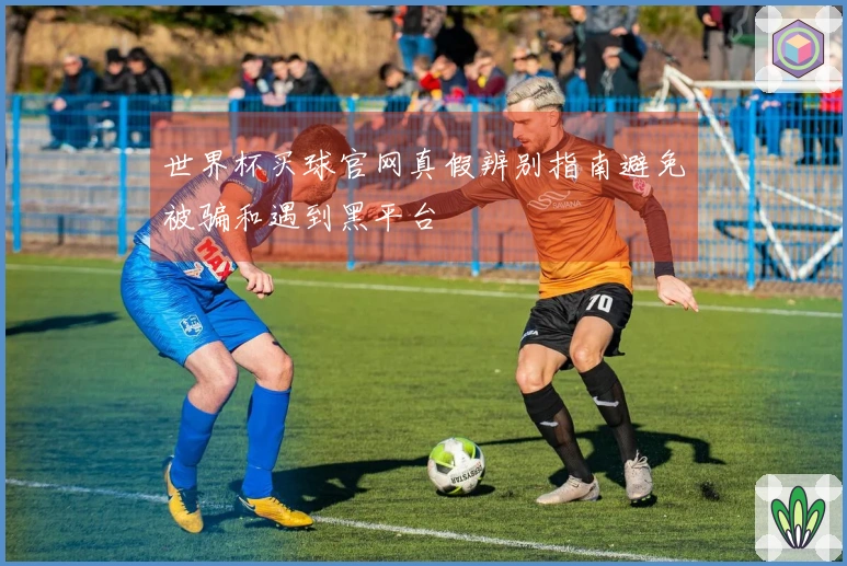 世界杯买球官网真假辨别指南避免被骗和遇到黑平台