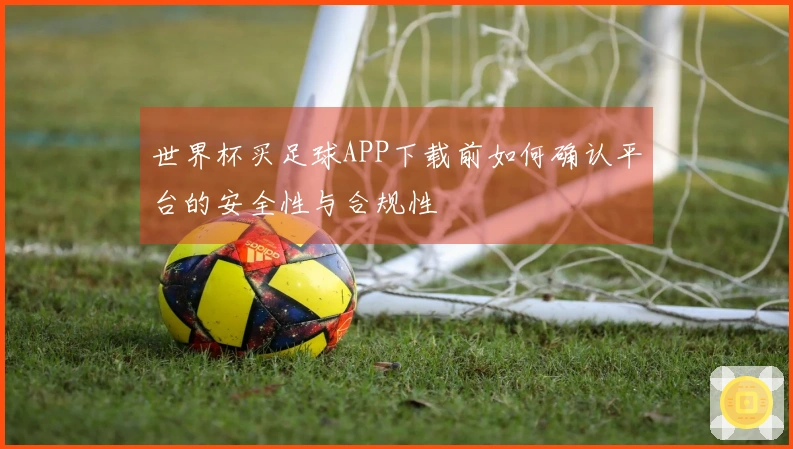 世界杯买足球APP下载前如何确认平台的安全性与合规性