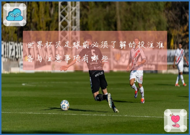 世界杯买足球前必须了解的投注准备与注意事项有哪些