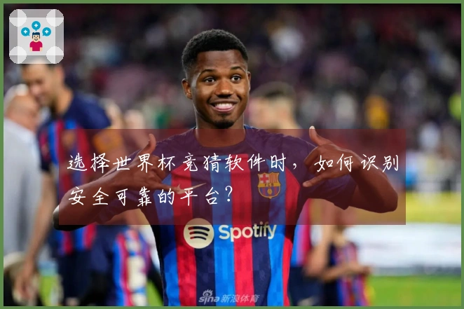 选择世界杯竞猜软件时，如何识别安全可靠的平台？