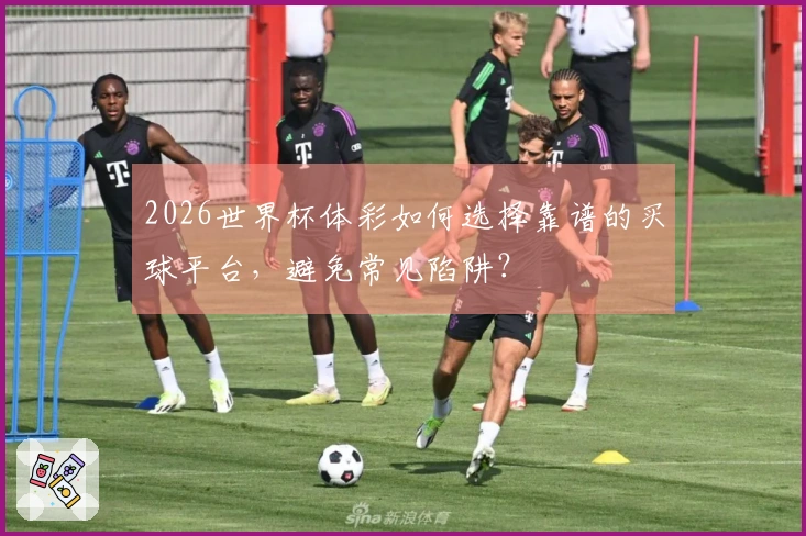 2026世界杯体彩如何选择靠谱的买球平台，避免常见陷阱？
