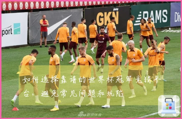 如何选择靠谱的世界杯冠军竞猜平台，避免常见问题和坑陷