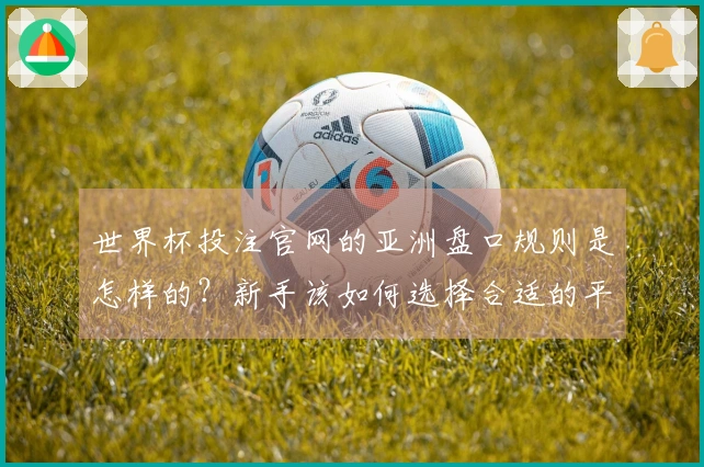 世界杯投注官网的亚洲盘口规则是怎样的？新手该如何选择合适的平台？