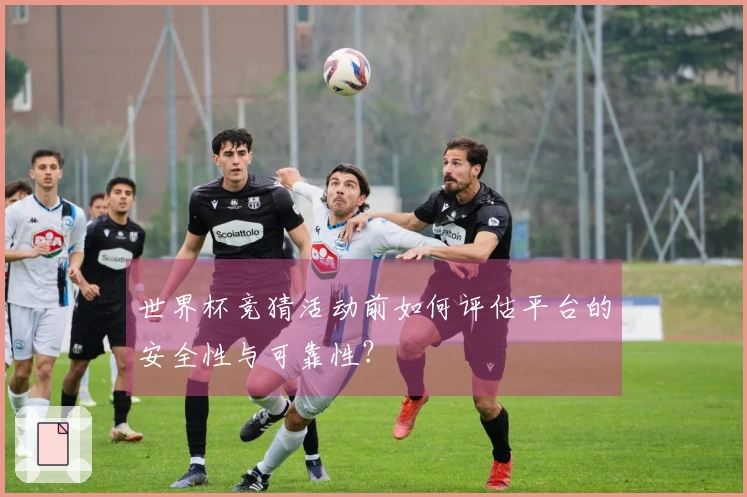 世界杯竞猜活动前如何评估平台的安全性与可靠性？