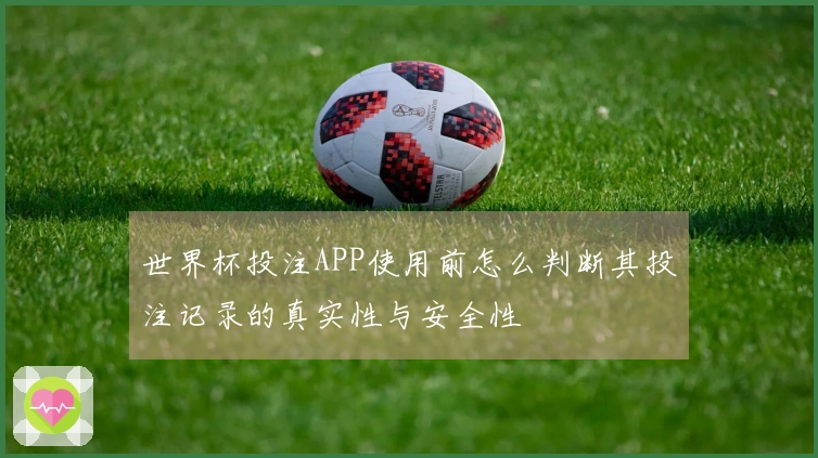 世界杯投注APP使用前怎么判断其投注记录的真实性与安全性