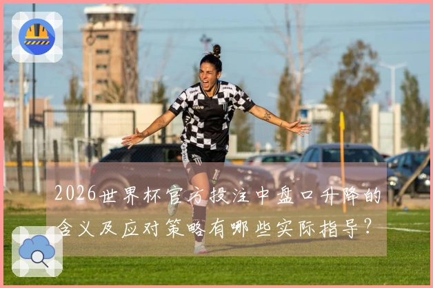 2026世界杯官方投注中盘口升降的含义及应对策略有哪些实际指导？
