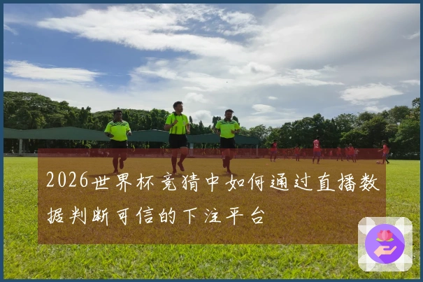 2026世界杯竞猜中如何通过直播数据判断可信的下注平台