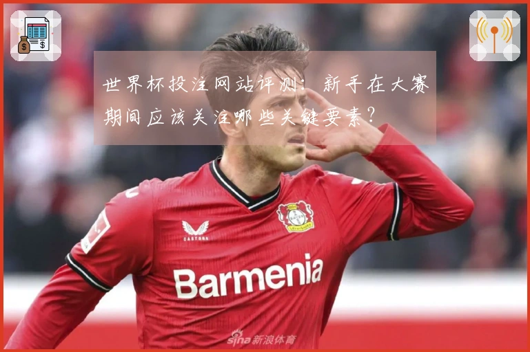 世界杯投注网站评测：新手在大赛期间应该关注哪些关键要素？