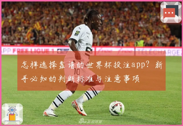 怎样选择靠谱的世界杯投注app？新手必知的判断标准与注意事项