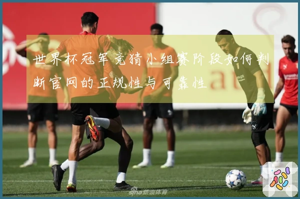 世界杯冠军竞猜小组赛阶段如何判断官网的正规性与可靠性