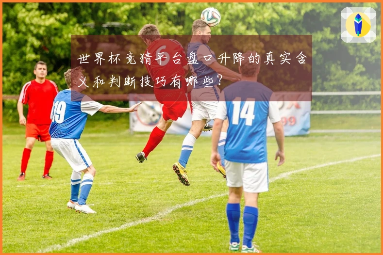 世界杯竞猜平台盘口升降的真实含义和判断技巧有哪些？