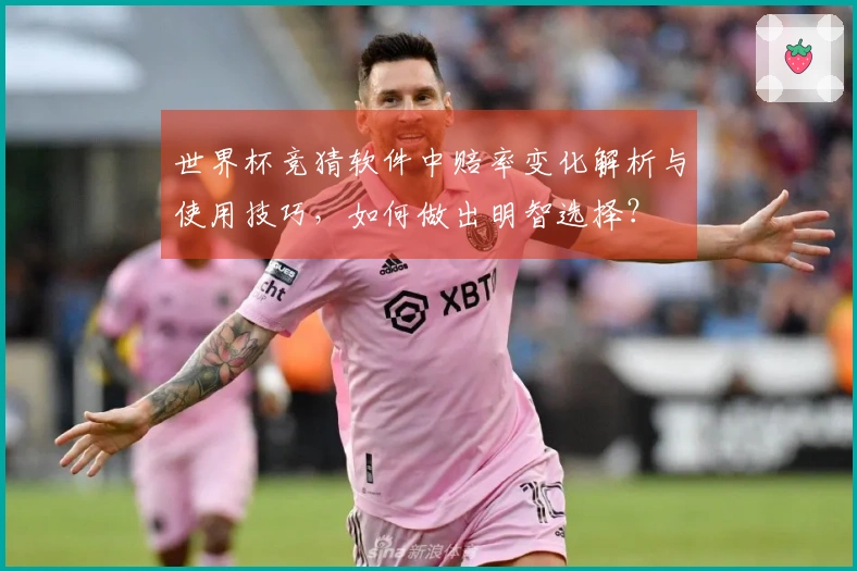 世界杯竞猜软件中赔率变化解析与使用技巧，如何做出明智选择？