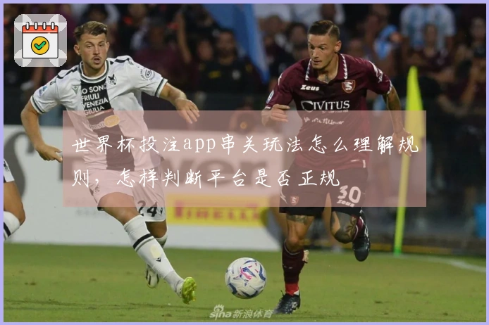 世界杯投注app串关玩法怎么理解规则，怎样判断平台是否正规