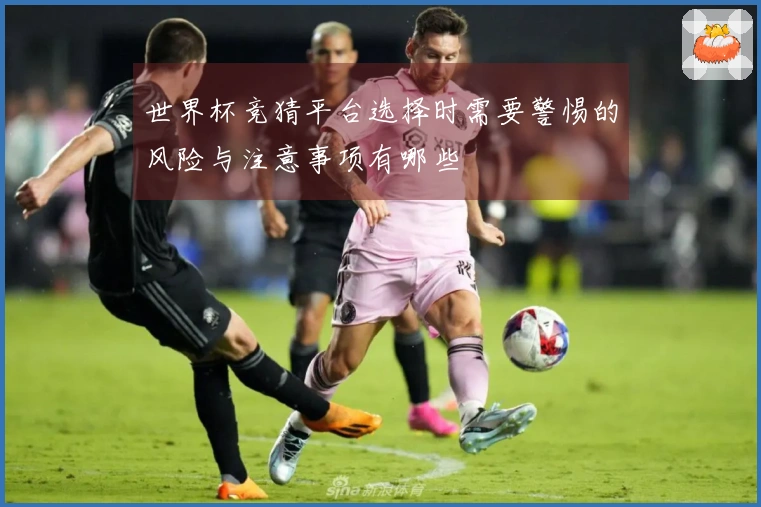 世界杯竞猜平台选择时需要警惕的风险与注意事项有哪些
