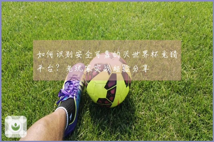 如何识别安全可靠的买世界杯竞猜平台？老玩家实战经验分享