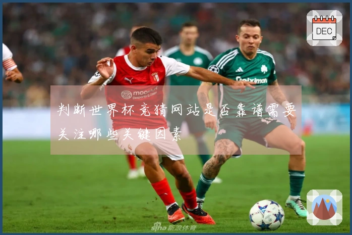 判断世界杯竞猜网站是否靠谱需要关注哪些关键因素