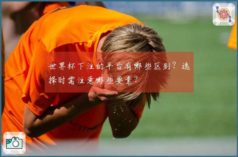 世界杯下注的平台有哪些区别?选择时需注意哪些要素?
