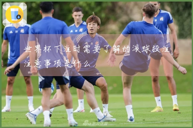 世界杯下注时需要了解的滚球投注注意事项是什么