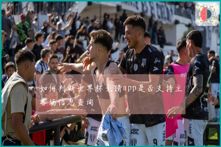 如何判断世界杯竞猜app是否支持主客场信息查询
