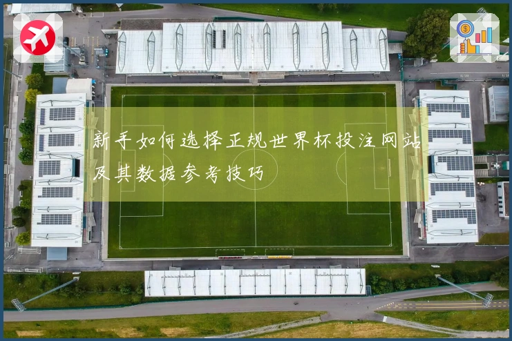 新手如何选择正规世界杯投注网站及其数据参考技巧
