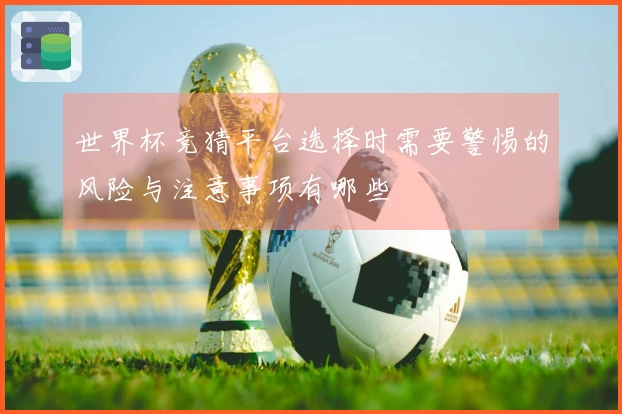 世界杯竞猜平台选择时需要警惕的风险与注意事项有哪些